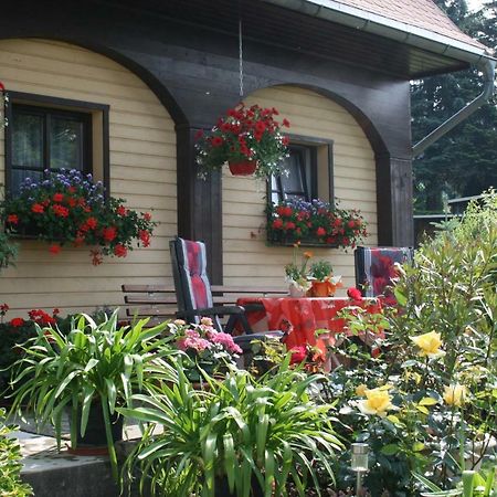 Ferienwohnung Hesse Am Wachberg Saupsdorf Extérieur photo