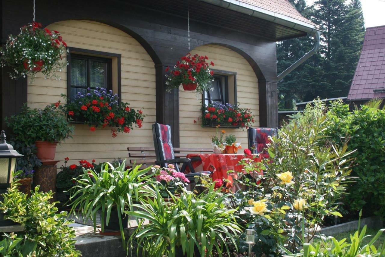 Ferienwohnung Hesse Am Wachberg Saupsdorf Extérieur photo